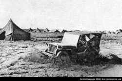 289-Tavaux-Field-Jeep.JPG (106398 octets)